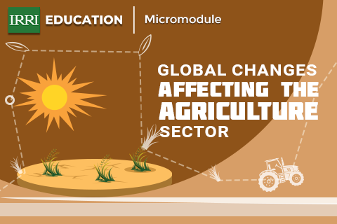 Global Changes Affecting the Agriculture Sector