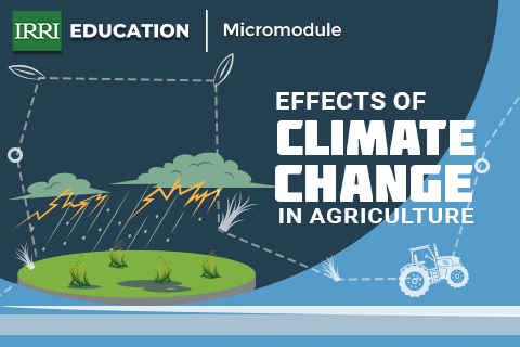 Effects of Climate Change in Agriculture