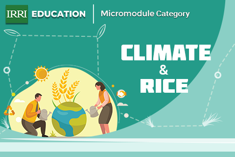 Climate and Rice