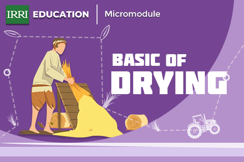 Basics of Drying