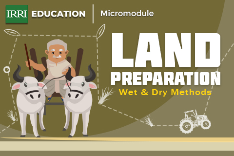 Land prepration (Wet & Dry Type)