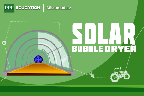 Solar Bubble Dryer
