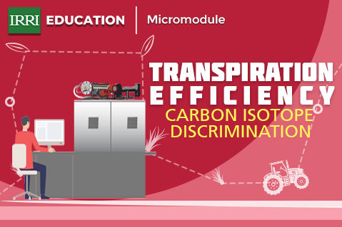 Transpiration Efficiency (Carbon Isotope Discrimination)