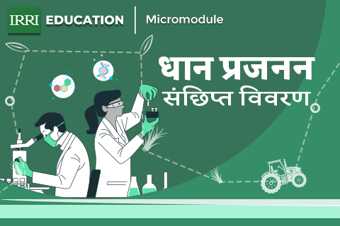 Micromodules (Hindi)