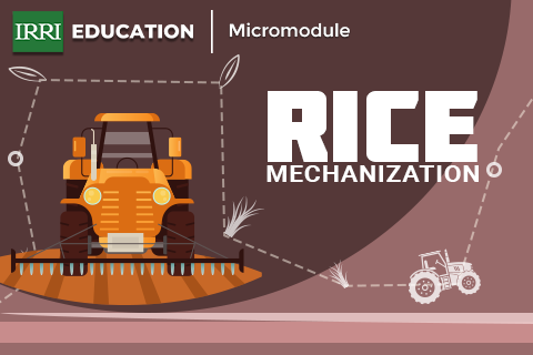 Rice Mechanization