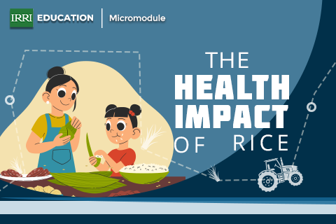Health Impact of Rice