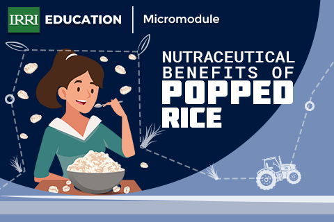 Nutraceutical Benefits of Popped Rice