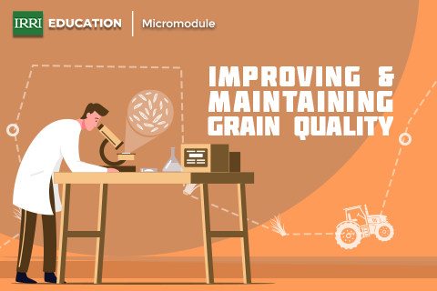 Improving and Maintaining Grain Quality