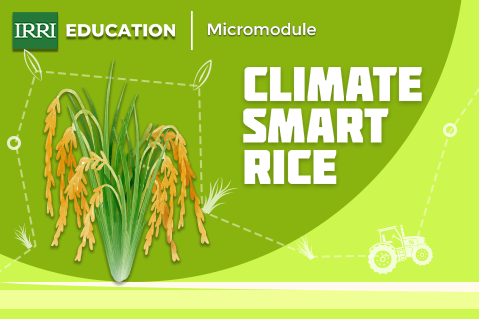 Climate Smart Rice Micromodule