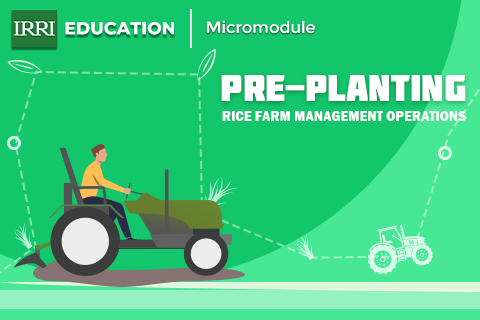 Modern Rice Breeding Strategies and Cultivation Techniques in Saline Coastal Areas