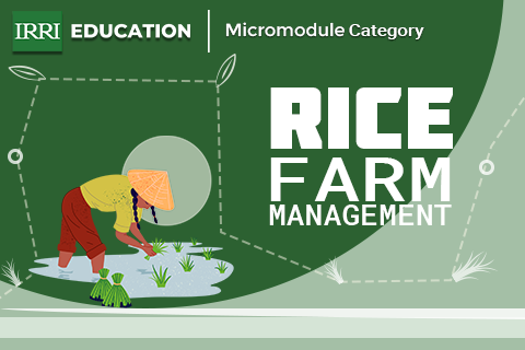 Rice Farm Management