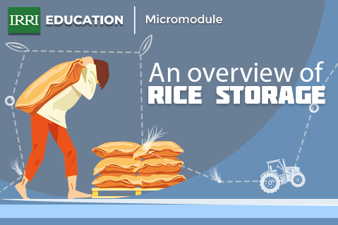 Overview of Rice Storage