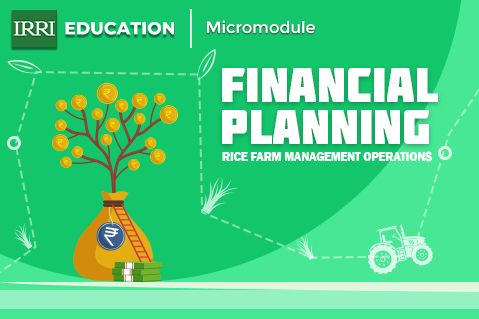 Financial Planning in Rice Farming