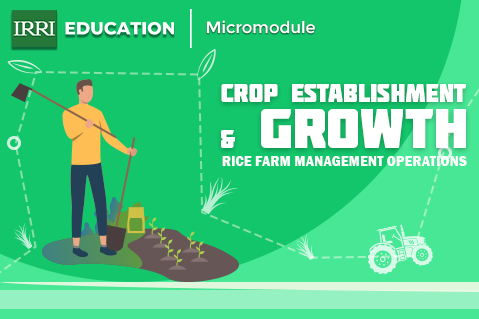 Crop Establishment & Growth