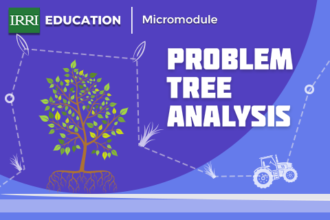 Problem Tree Analysis Micromodule