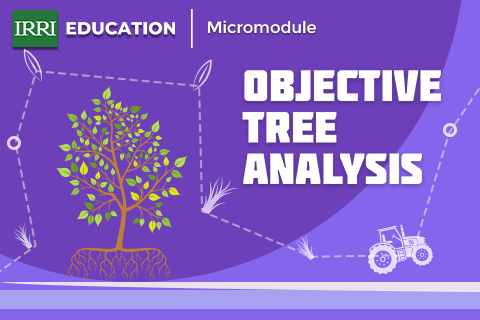 Objective Tree Analysis Micromodule