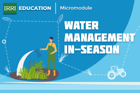In-season Water Management