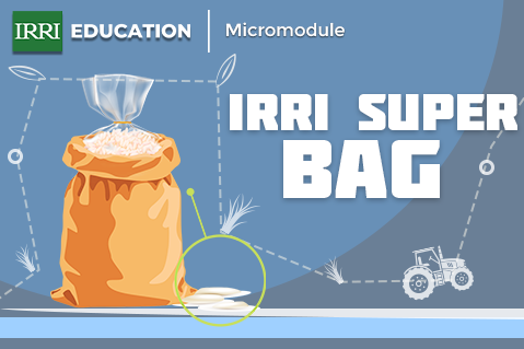 IRRI Super Bag