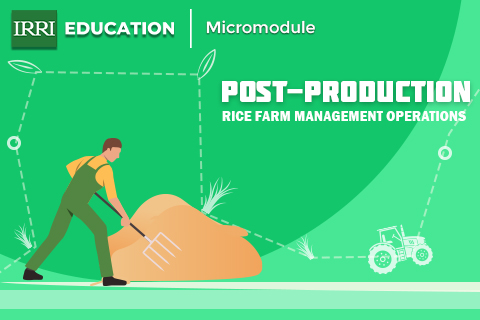 Rice Farm Management (Post-Production)