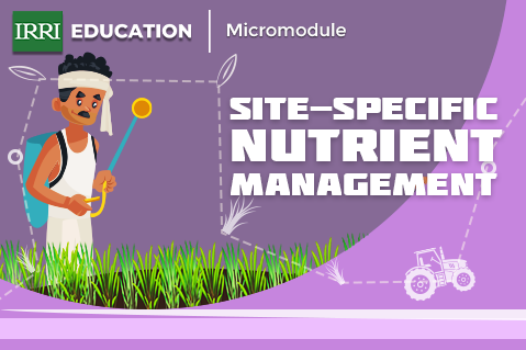 Site-Specific Nutrient Management Micromodule